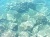kroatien-homepage-041