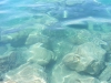 kroatien-homepage-042