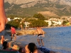 kroatien-homepage-046